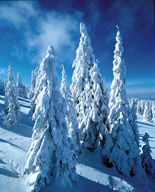 KOPAONIK