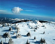 KOPAONIK