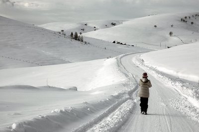 ZLATIBOR